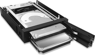 HDD kinnitus 2 x 2.5'' RaidSonic цена и информация | Внутренние жёсткие диски (HDD, SSD, Hybrid) | kaup24.ee