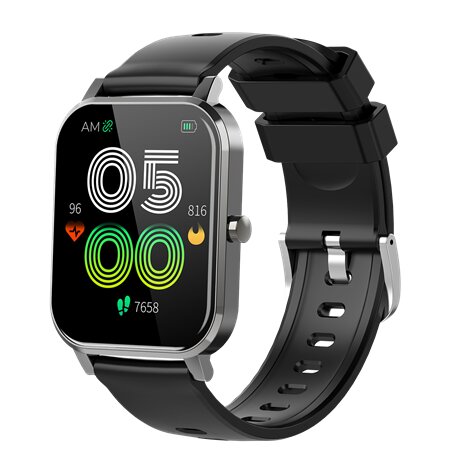 Denver SW-181 Black hind ja info | Nutikellad (smartwatch) | kaup24.ee