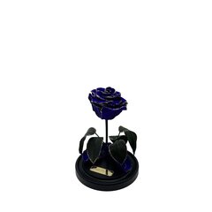 Roos klaasis S, Roosa (kõrgus 20 cm / laius 12,5 cm) hind ja info | Uinuvad roosid, taimed | kaup24.ee