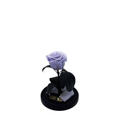 Roos klaasis S, Lavendli värvi (kõrgus 20 cm / laius 12,5 cm) hind ja info | Uinuvad roosid, taimed | kaup24.ee