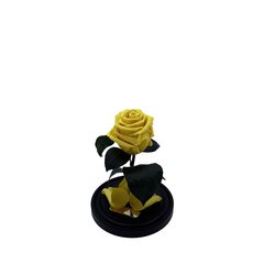 Роза в колбе S, Ярко-жёлтая (20 см выс. / 12,5 см шир.) цена и информация | Спящие стабилизированные розы, растения | kaup24.ee