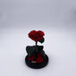 Roos klaasis S, südame kujuga (kõrgus 20 cm / laius 12,5 cm) hind ja info | Uinuvad roosid, taimed | kaup24.ee