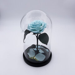 Roos klaasis M, Taevasinine (kõrgus 25 cm / laius 15 cm) hind ja info | Uinuvad roosid, taimed | kaup24.ee