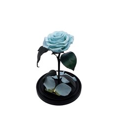 Роза в колбе M, Голубая (25 см выс. / 15 см шир.) цена и информация | Спящие стабилизированные розы, растения | kaup24.ee