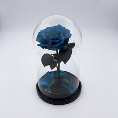 Роза в колбе M, цвета Тиффани (25 см выс. / 15 см шир.) цена и информация | Спящие стабилизированные розы, растения | kaup24.ee
