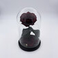 Roos klaasis M, Bordoo (kõrgus 25 cm / laius 15 cm) hind ja info | Uinuvad roosid, taimed | kaup24.ee