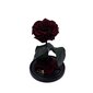 Roos klaasis M, Bordoo (kõrgus 25 cm / laius 15 cm) hind ja info | Uinuvad roosid, taimed | kaup24.ee