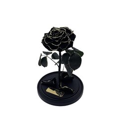 Роза в колбе M, Черная Gold (25 cм выс. / 15 cм шир.) цена и информация | Спящие стабилизированные розы, растения | kaup24.ee