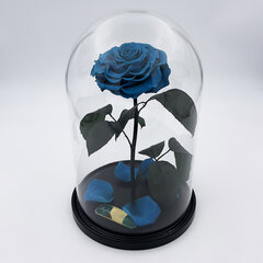 Roos klaasis L, Tiffany värvi (kõrgus 30 cm / laius 19 cm) hind ja info | Uinuvad roosid, taimed | kaup24.ee