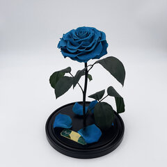 Роза в колбе L, цвета Тиффани (30 см выс. / 19 см шир.) цена и информация | Спящие стабилизированные розы, растения | kaup24.ee