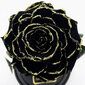 Roos klaasis L, Must Gold (kõrgus 30 cm / laius 19 cm) hind ja info | Uinuvad roosid, taimed | kaup24.ee