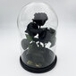 Roos klaasis Trinity, Must (kõrgus 30 cm / laius 19 cm) hind ja info | Uinuvad roosid, taimed | kaup24.ee