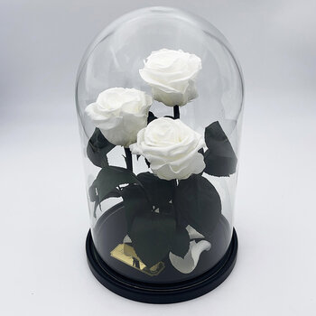Roos klaasis Trinity, Valge (kõrgus 30 cm / laius 19 cm) hind ja info | Uinuvad roosid, taimed | kaup24.ee