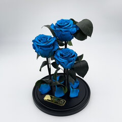 Roos klaasis Trinity, Tiffany värvi (kõrgus 30 cm / laius 19 cm) hind ja info | Uinuvad roosid, taimed | kaup24.ee
