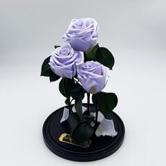 Роза в колбе Trinity, цвета Лаванды (30 cм выс. / 19 cм шир.) цена и информация | Спящие стабилизированные розы, растения | kaup24.ee