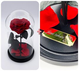 Роза в колбе M, в форме сердца (25 см выс. / 15 см шир.) + гравировка цена и информация | Спящие стабилизированные розы, растения | kaup24.ee