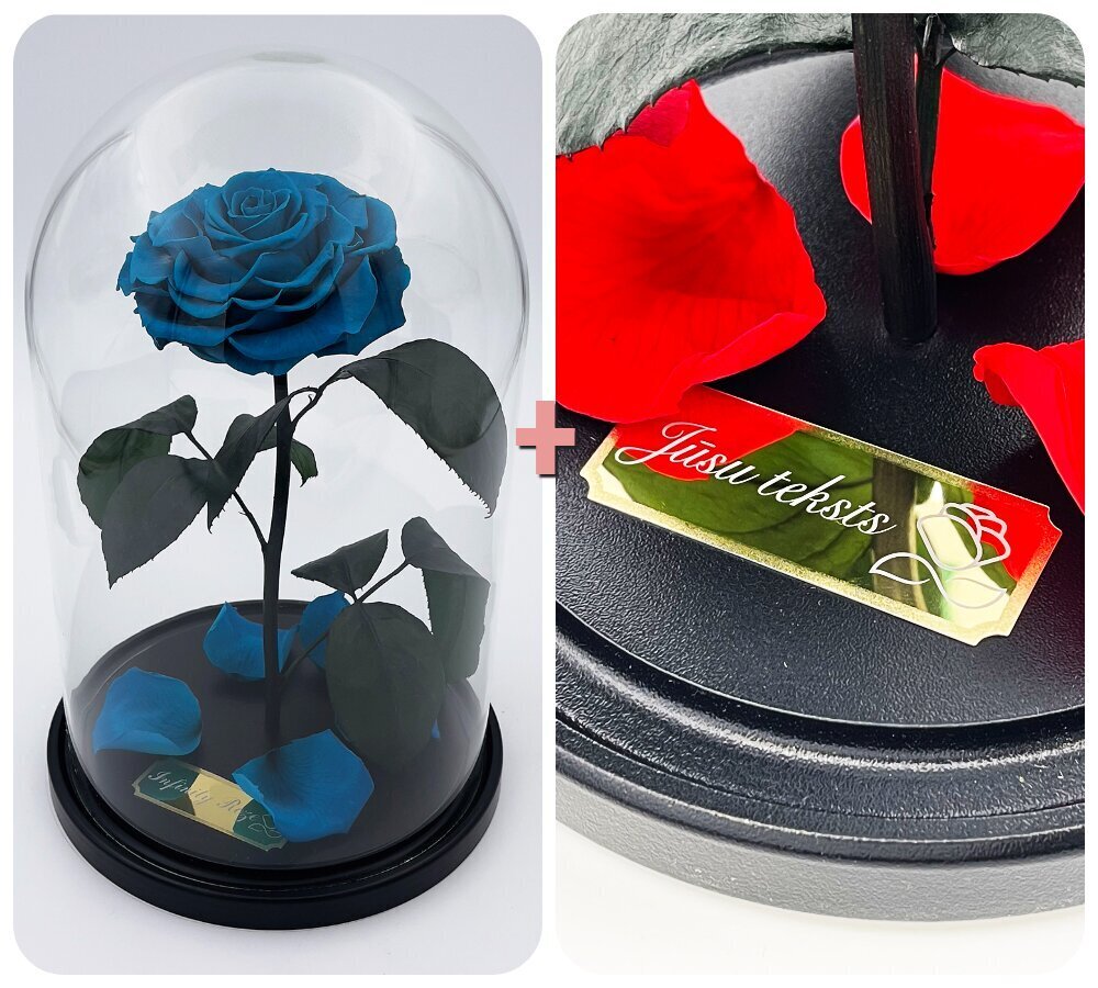Roos klaasis L, Tiffany värvi (kõrgus 30 cm / laius 19 cm) + graveeringuga цена и информация | Uinuvad roosid, taimed | kaup24.ee