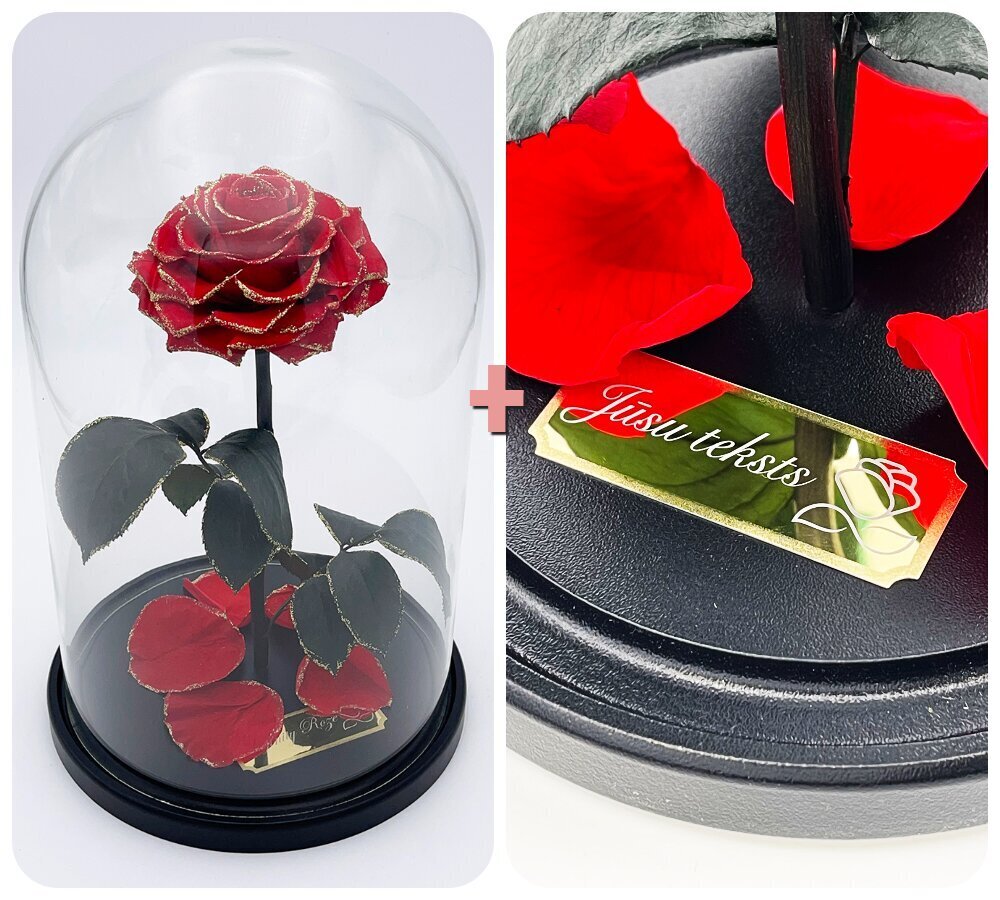 Roos klaasis L, Punane Gold (kõrgus 30 cm / laius 19 cm) + graveeringuga цена и информация | Uinuvad roosid, taimed | kaup24.ee