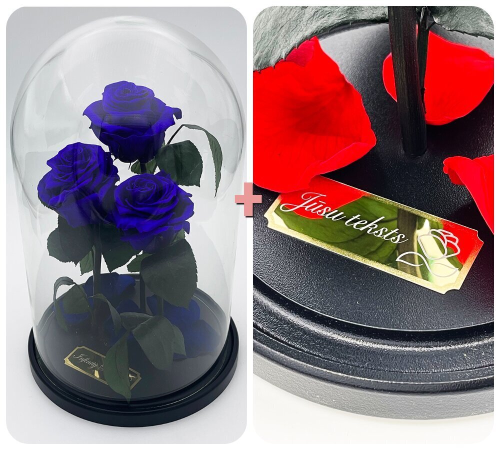 Roos klaasis Trinity, Lilla (kõrgus 30 cm / laius 19 cm) + graveeringuga цена и информация | Uinuvad roosid, taimed | kaup24.ee