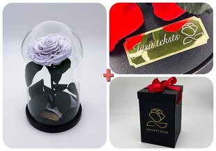Roos klaasis M, Lavendli värvi (kõrgus 25 cm / laius 15 cm) + graveeringuga + Vau-efektiga karp hind ja info | Uinuvad roosid, taimed | kaup24.ee