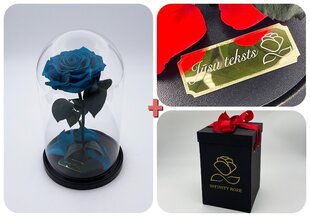 Roos klaasis M, Tiffany värvi (kõrgus 25 cm / laius 15 cm) + graveeringuga + Vau-efektiga karp hind ja info | Uinuvad roosid, taimed | kaup24.ee