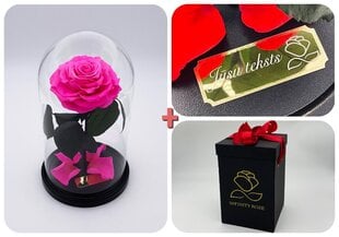 Uinuv roos M, heleroosa (25 cm kõrge / 15 cm lai) + graveeritud + "wow" efektiga karp hind ja info | Uinuvad roosid, taimed | kaup24.ee