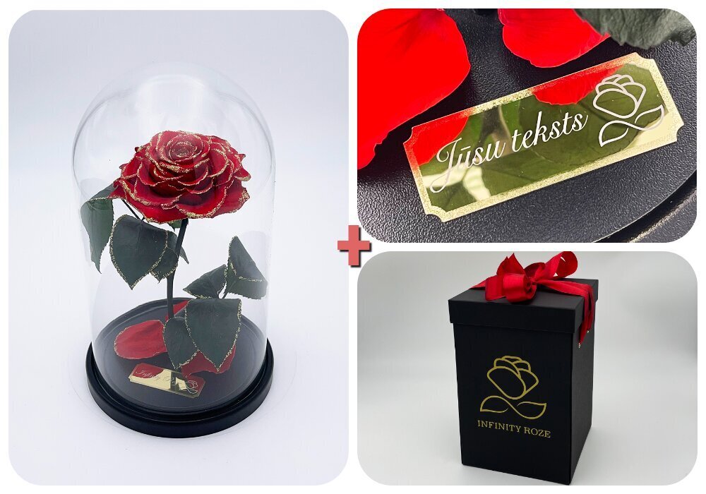 Roos klaasis M, Punane Gold (kõrgus 25 cm / laius 15 cm) + graveeringuga + Vau-efektiga karp цена и информация | Uinuvad roosid, taimed | kaup24.ee