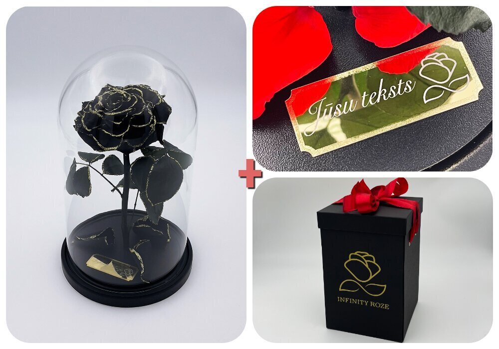 Roos klaasis M, Must Gold (kõrgus 25 cm / laius 15 cm) + graveeringuga + Vau-efektiga karp цена и информация | Uinuvad roosid, taimed | kaup24.ee