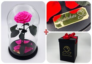 Roos klaasis L, Erkroosa (kõrgus 30 cm / laius 19 cm) + graveeringuga + Vau-efektiga karp hind ja info | Uinuvad roosid, taimed | kaup24.ee