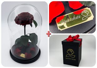 Roos klaasis L, Bordoo (kõrgus 30 cm / laius 19 cm) + graveeringuga + Vau-efektiga karp hind ja info | Uinuvad roosid, taimed | kaup24.ee
