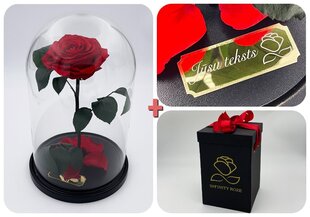 Roos klaasis L, Punane (kõrgus 30 cm / laius 19 cm) + graveeringuga + Vau-efektiga karp hind ja info | Uinuvad roosid, taimed | kaup24.ee