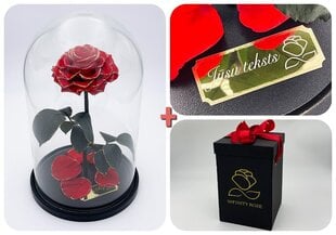Roos klaasis L, Punane gold (kõrgus 30 cm / laius 19 cm) + graveeringuga + Vau-efektiga karp hind ja info | Uinuvad roosid, taimed | kaup24.ee