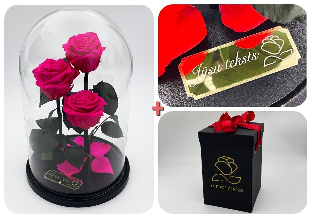 Roos klaasis Trinity, Fuksia värvi (kõrgus 30 cm / laius 19 cm) + graveeringuga + Vau-efektiga karp hind ja info | Uinuvad roosid, taimed | kaup24.ee