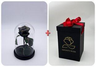 Roos klaasis S, Must Gold (kõrgus 20 cm / laius 12,5 cm) + Vau-efektiga karp hind ja info | Uinuvad roosid, taimed | kaup24.ee
