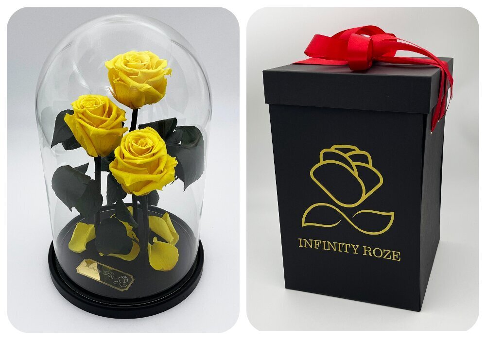 Roos klaasis Trinity, Kollane (kõrgus 30 cm / laius 19 cm) + Vau-efektiga karp hind ja info | Uinuvad roosid, taimed | kaup24.ee