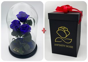 Roos klaasis Trinity, Lilla (kõrgus 30 cm / laius 19 cm) + Vau-efektiga karp hind ja info | Uinuvad roosid, taimed | kaup24.ee