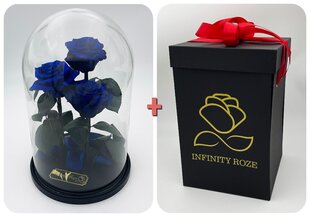 Roos klaasis Trinity, Sinine (kõrgus 30 cm / laius 19 cm) + Vau-efektiga karp hind ja info | Uinuvad roosid, taimed | kaup24.ee
