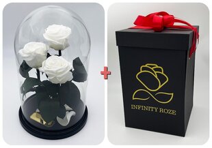 Roos klaasis Trinity, Valge (kõrgus 30 cm / laius 19 cm) + Vau-efektiga karp hind ja info | Uinuvad roosid, taimed | kaup24.ee