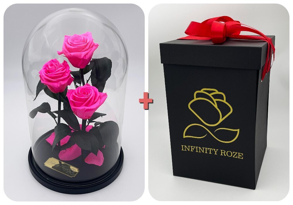 Roos klaasis Trinity, Erkroosa (kõrgus 30 cm / laius 19 cm) + Vau-efektiga karp hind ja info | Uinuvad roosid, taimed | kaup24.ee