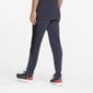 Puma Spordipüksid Evostripe Pants Navy 847404 43 847404 43, tumesinine hind ja info | Meeste spordiriided | kaup24.ee