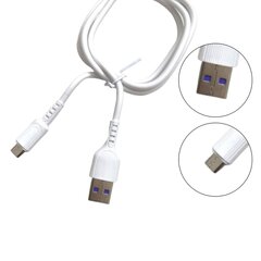 USB-kaabel mikro-USB-pistikuga цена и информация | Кабели для телефонов | kaup24.ee