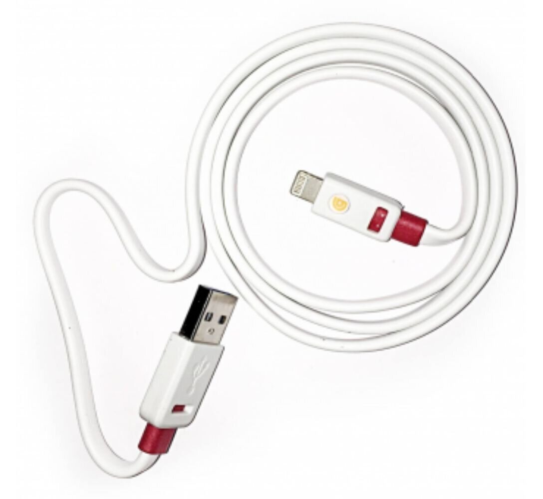 USB-kaabel iPhone'ile, valge цена и информация | Mobiiltelefonide kaablid | kaup24.ee