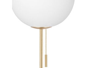 Põrandalamp Globen Lighting Torrano цена и информация | Торшеры | kaup24.ee