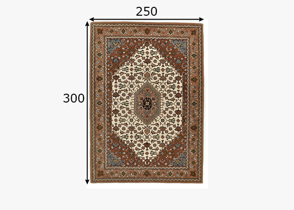 Vaip Theko Royal Persian 250x300 cm цена и информация | Vaibad | kaup24.ee