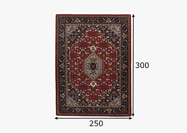 Vaip Theko Royal Persian 250x300 cm hind ja info | Vaibad | kaup24.ee