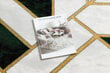 Vaip EMERALD eksklusiivne 1015 glamour, stiilne marmor, geomeetriline pudel roheline / kullast hind ja info | Vaibad | kaup24.ee