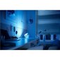 Laualamp Philips Hue Iris hind ja info | Laualambid | kaup24.ee