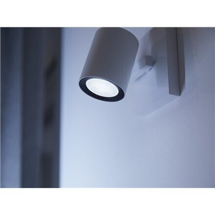 Nutikas LED pirn Philips Hue Wa 4.3W 350lm hind ja info | Lambipirnid, lambid | kaup24.ee