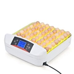 Автоматический инкубатор яиц, 32 места цена и информация | Товары для сельскохозяйственных животных | kaup24.ee