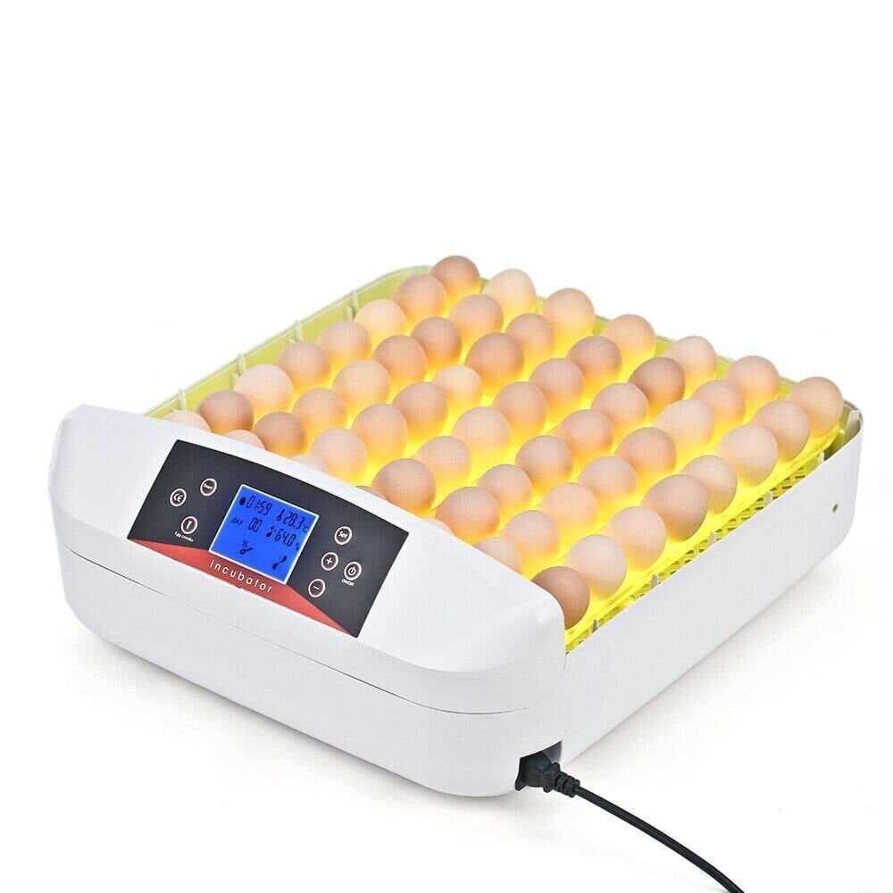 Automaatne munainkubaator, 32 kohta цена и информация | Kaubad kariloomadele | kaup24.ee